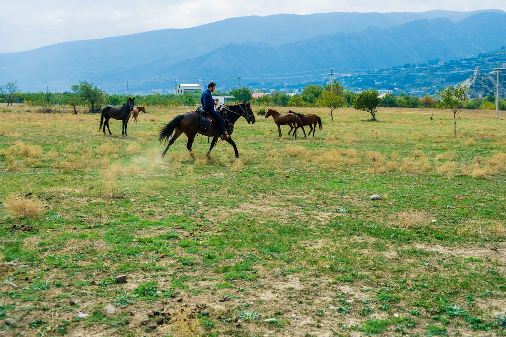 Zedazeni Hotel Mtsʼkhetʼa Exteriér fotografie